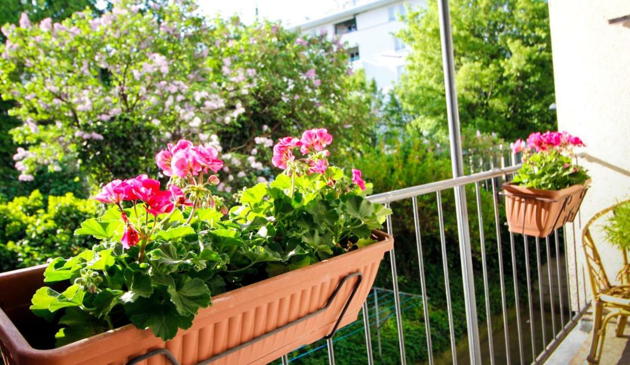 Casa Vienna Apartment Екстериор снимка